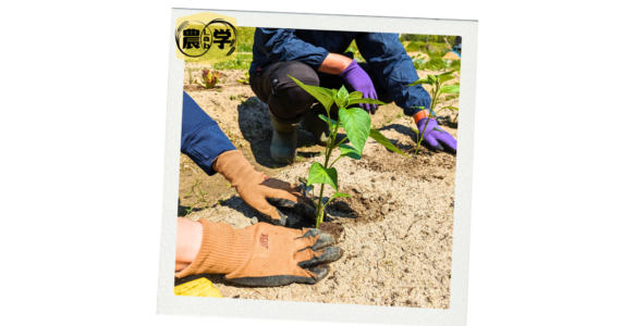 【農ガクLab日誌】4月26日