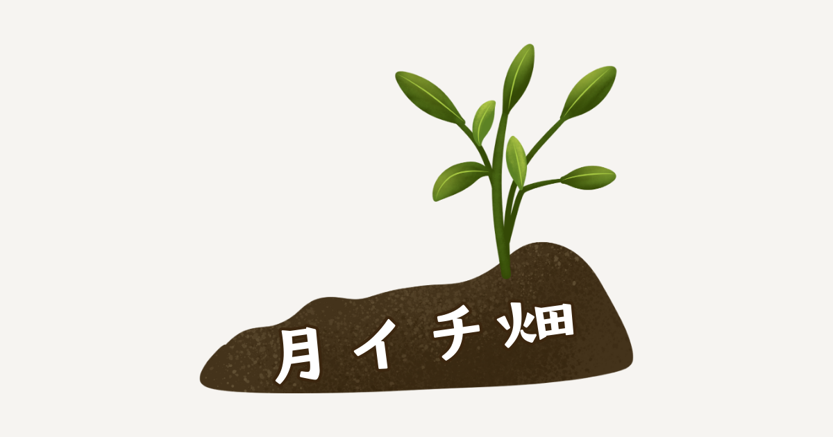 【月イチ畑】月に一度畑とランチ★